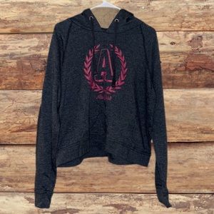 Aeropostale Gray & Pink Hoodie